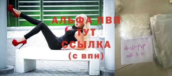 ПСИЛОЦИБИНОВЫЕ ГРИБЫ Костерёво