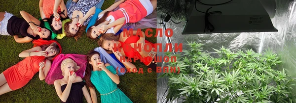 каннабис Корсаков