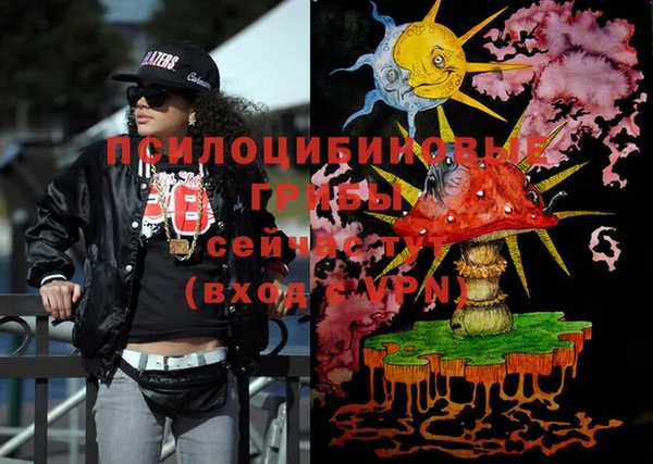 ПСИЛОЦИБИНОВЫЕ ГРИБЫ Костерёво